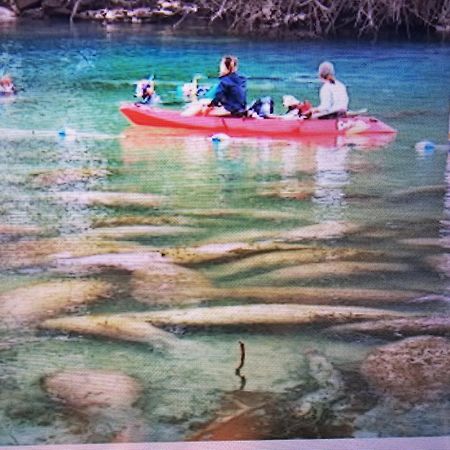 Manatee Watch Den Apartment Crystal River Exterior photo