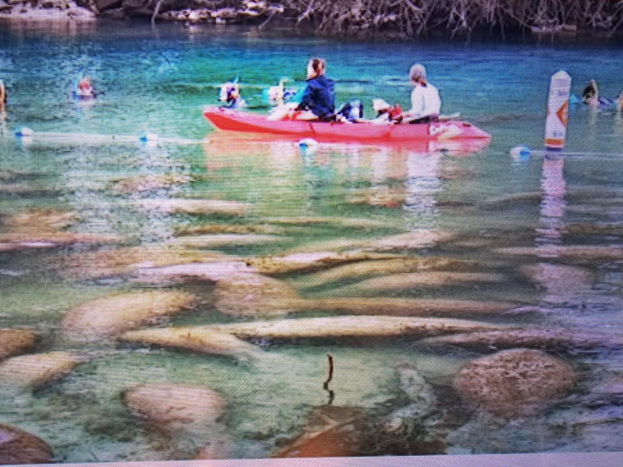 Manatee Watch Den Apartment Crystal River Exterior photo